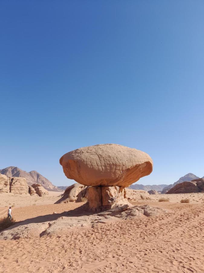 Wadi Rum Camels Camp Exteriér fotografie