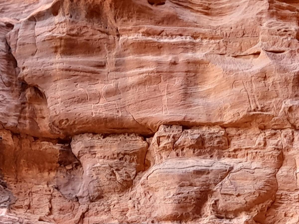 Wadi Rum Camels Camp Exteriér fotografie